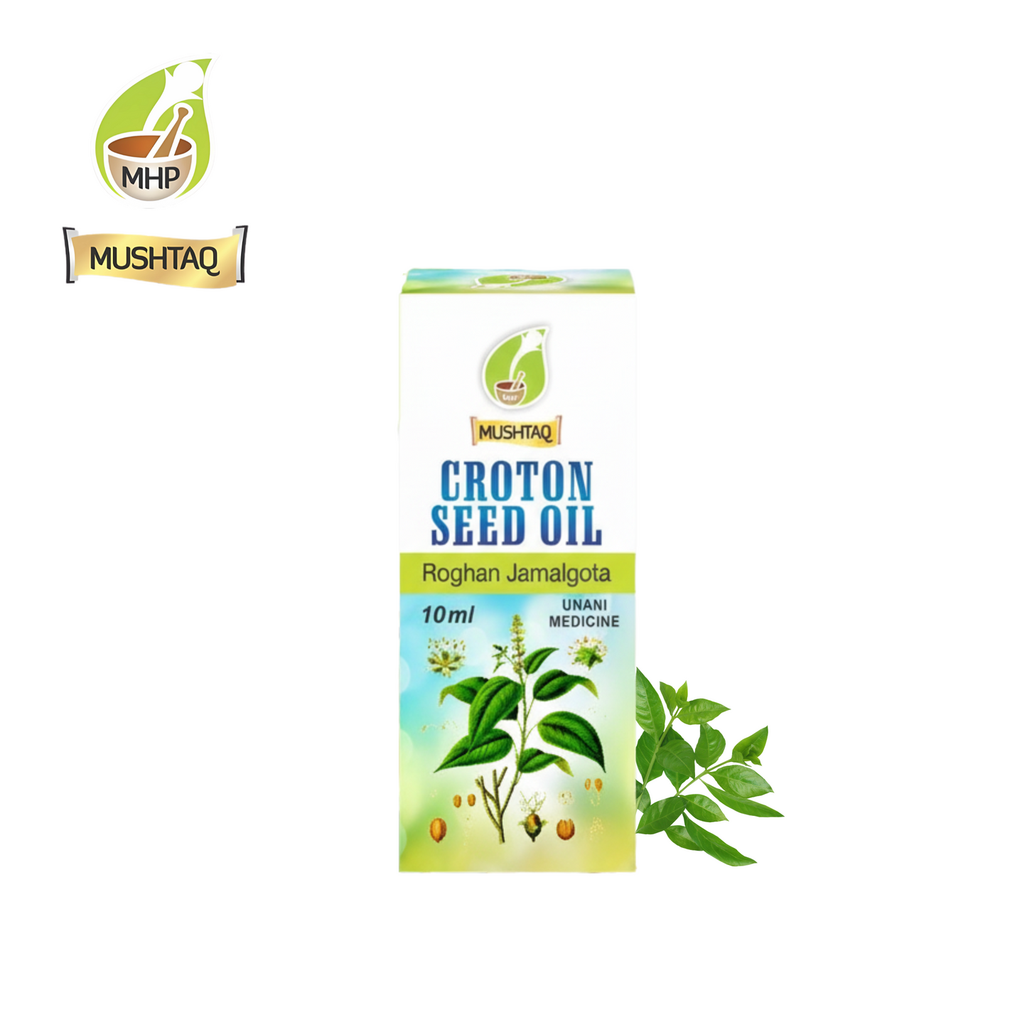 Croton seed oil (Roghan Jamalgota)